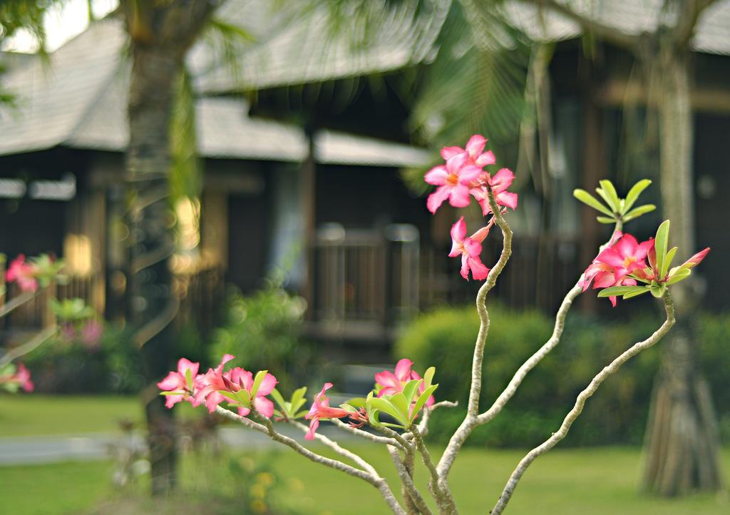 Hotel Aman Gati Balangan Pecatu Exterior foto